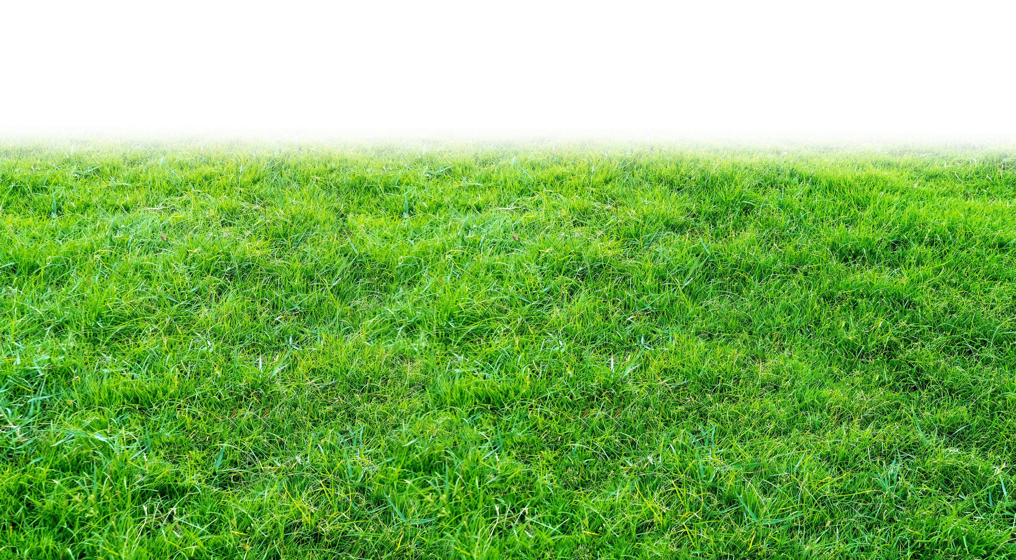 Green grass field on transparent background PNG | SimilarPNG, image size:3235x1783