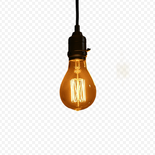 Vintage Light Bulb with Edison Style