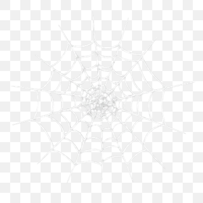 Intricate White Spider Web on Transparent Background