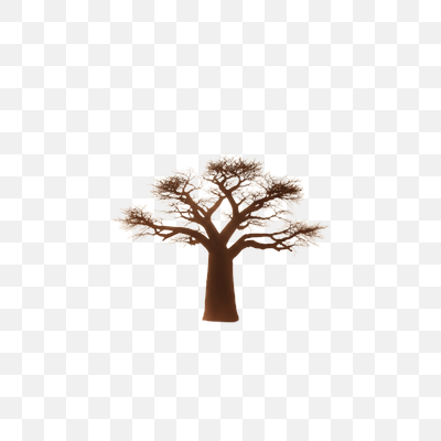 Minimalist Baobab Tree Illustration on White