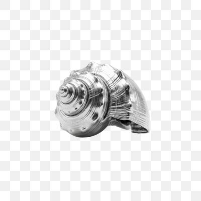Gleaming Silver Seashell on White