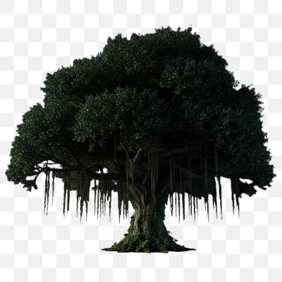 Ancient Banyan Under Starry Skies