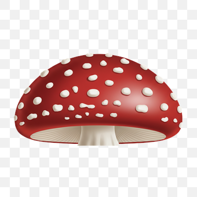 Vibrant Red and White Fly Agaric Mushroom Illustration