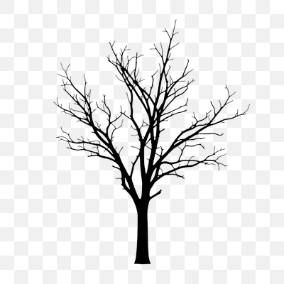 Minimalist Bare Tree Silhouette