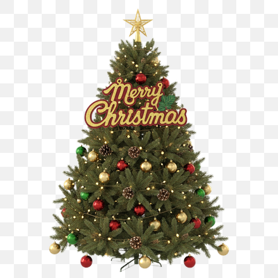 Festive Christmas Tree with 'Merry Christmas' Sign and Golden Star Topper