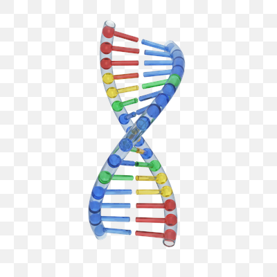 Vibrant Transparent DNA Double Helix