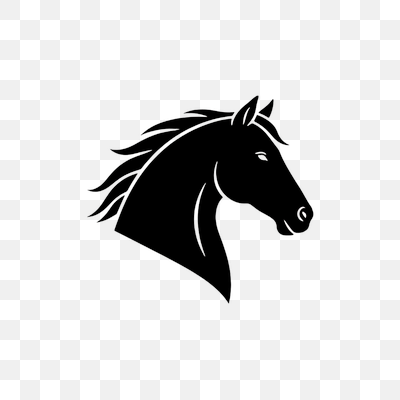 Elegant Black Horse Head Silhouette Logo