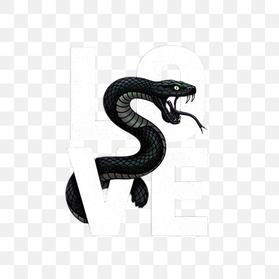 Serpentine Love: A Bold Graphic