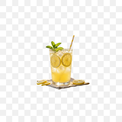 Zesty Lemonade Refresher with Mint