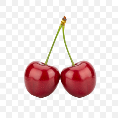 Two Fresh Red Cherries with Stems on White Background
