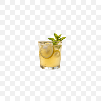 Iced Lemonade with Fresh Mint and Lemon Slices