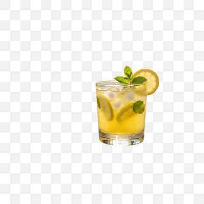 Chilled Lemonade with Fresh Mint and Lemon Slices