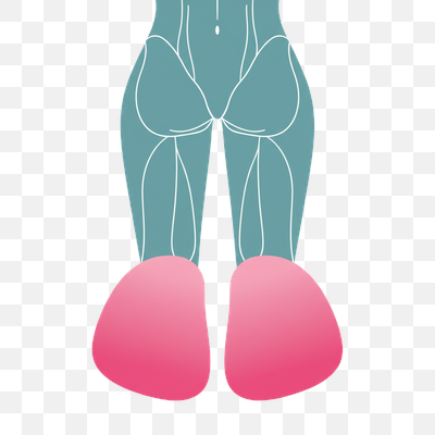 Stylized Rear View of Human Lower Body