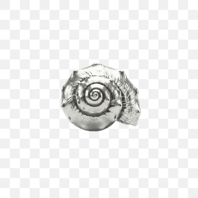 Elegant Polished Silver Seashell on White