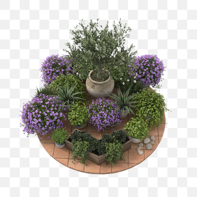 Lush Circular Potted Garden with Olive Tree and Purple Blooms