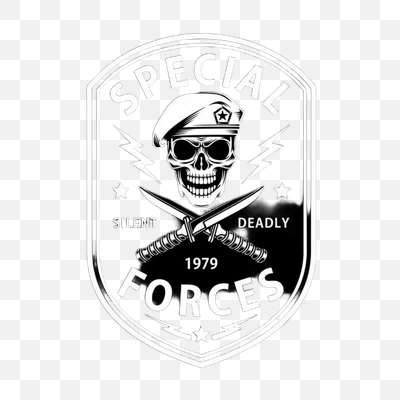 Special Forces Skull Emblem with Beret and Crossed Knives