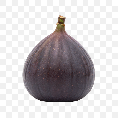 Single Ripe Dark Purple Fig on White Background