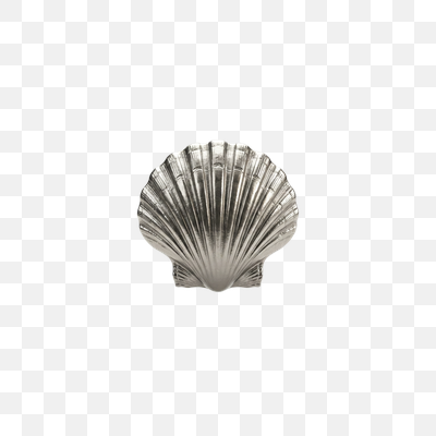 Elegant Metallic Silver Scallop Shell on White