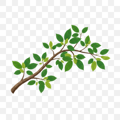 Vibrant Green Leaves on a Natural Tree Branch