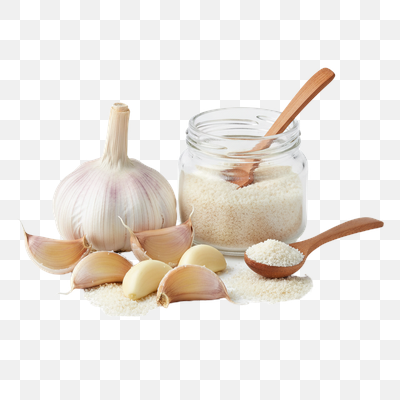 Fresh Garlic and Granulated Garlic Powder on White