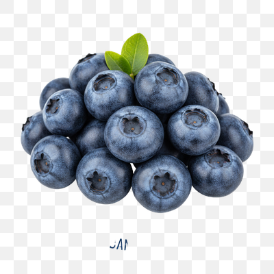 Fresh Blueberries: Antioxidant Superfood on White