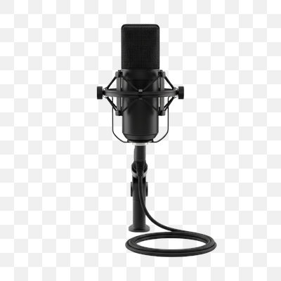 Professional Black Studio Microphone with Shock Mount