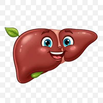 Cheerful Liver Character for Health & Wellness