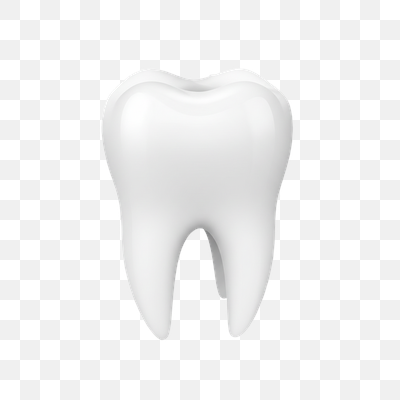 Pristine White Molar Tooth 3D Render