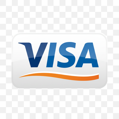 Visa Payment Card Logo Icon