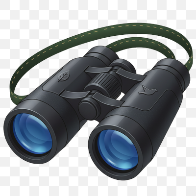 Classic Black Binoculars for Outdoor Exploration