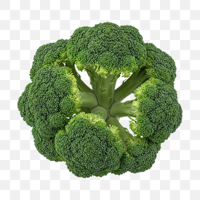 Fresh Green Broccoli Head, Top View on White